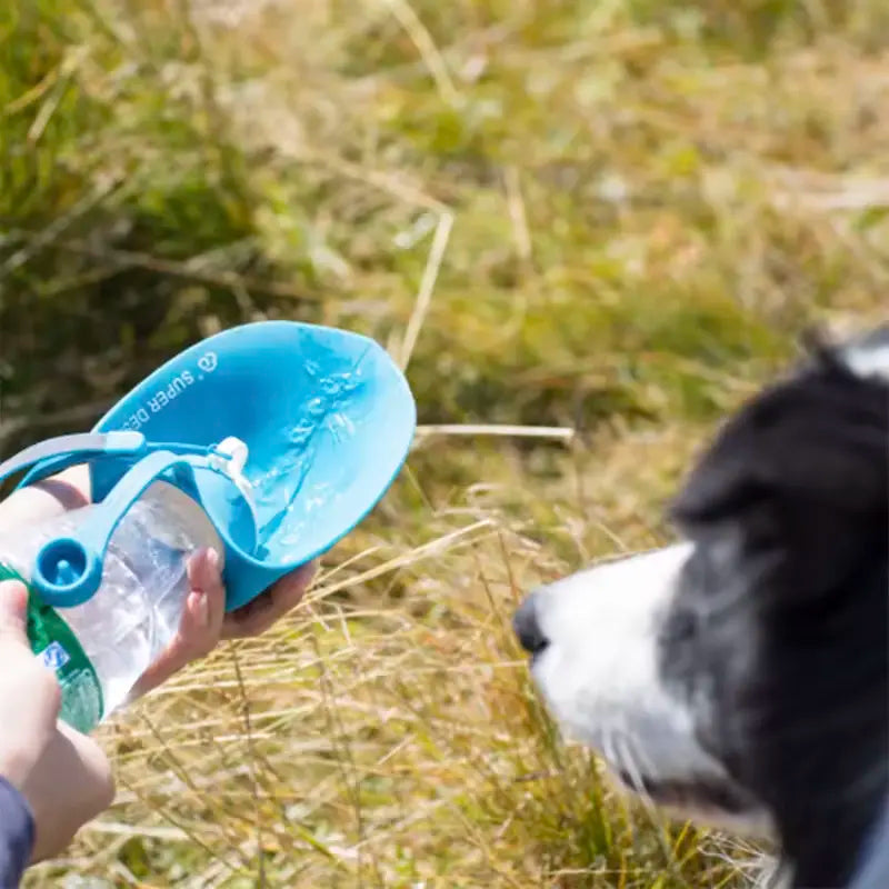Hydration & Happiness, Wherever You Go