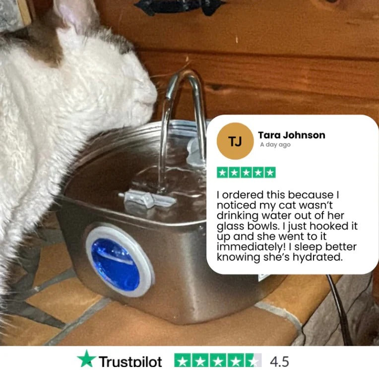 PetComfort Stainless Steel Pet Water Fountain