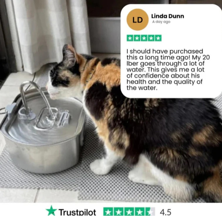 PetComfort Stainless Steel Pet Water Fountain