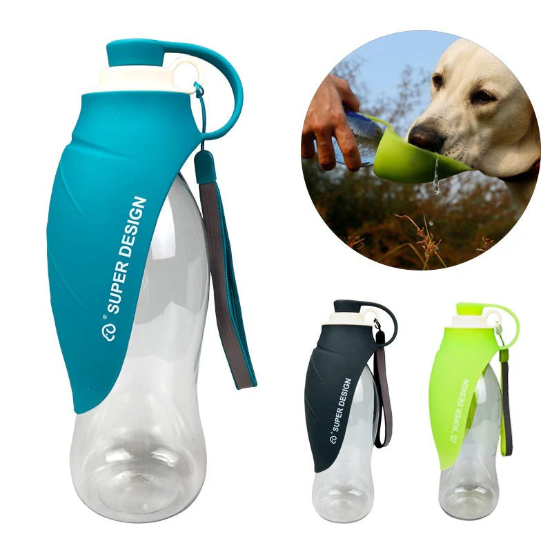 Hydration & Happiness, Wherever You Go