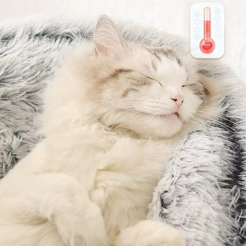 Cozy Heated Blanket for Cats & Dogs
