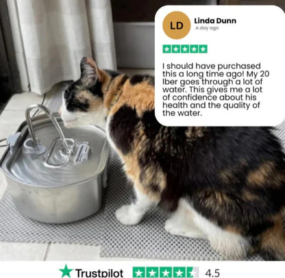 PetComfort Stainless Steel Pet Water Fountain